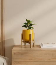 Load image into Gallery viewer, Mustard stand:bamboo
