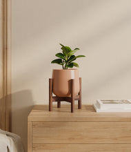 Load image into Gallery viewer, Calm Rose stand:walnut
