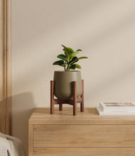 Load image into Gallery viewer, Olive stand:walnut
