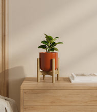 Load image into Gallery viewer, Glossy Red stand:bamboo
