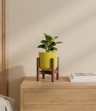 Load image into Gallery viewer, Key Lime Yellow stand:walnut
