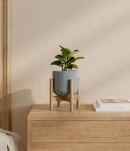 Load image into Gallery viewer, Misty Blue stand:bamboo
