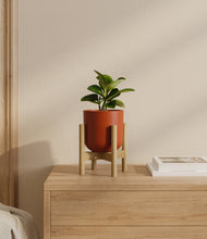 Load image into Gallery viewer, Earth Red stand:bamboo
