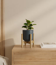 Load image into Gallery viewer, Iron Gray stand:bamboo
