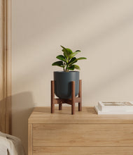 Load image into Gallery viewer, Iron Gray stand:walnut
