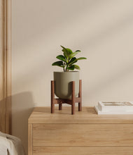 Load image into Gallery viewer, Sage Green stand:walnut
