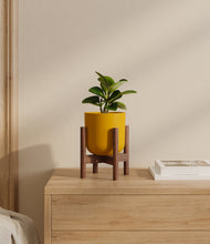 Load image into Gallery viewer, Sunset Orange stand:walnut
