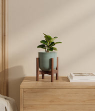 Load image into Gallery viewer, Reactive Aqua stand:walnut
