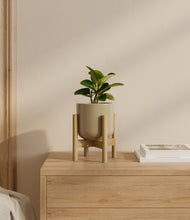 Load image into Gallery viewer, Sage Green stand:bamboo
