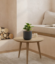 Load image into Gallery viewer, Iron Gray
