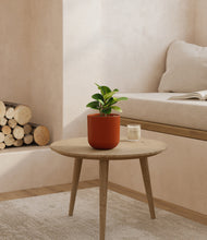 Load image into Gallery viewer, Earth Red
