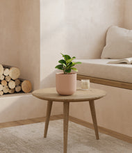 Load image into Gallery viewer, Sandy Pink
