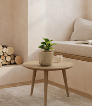 Load image into Gallery viewer, Sage Green
