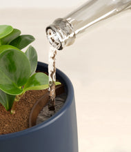 Load image into Gallery viewer, Deep Navy stand:all
