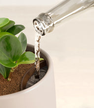 Load image into Gallery viewer, Eternal Gray stand:all
