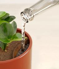 Load image into Gallery viewer, Glossy Red stand:all
