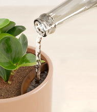 Load image into Gallery viewer, Sandy Pink stand:all
