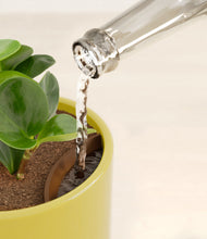 Load image into Gallery viewer, Key Lime Yellow stand:all
