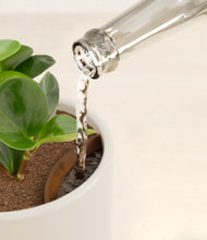 Load image into Gallery viewer, Cotton White stand:all
