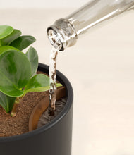 Load image into Gallery viewer, Stone Black stand:all
