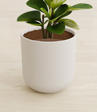 Load image into Gallery viewer, Natural Bamboo stand:all
