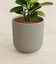 Load image into Gallery viewer, Sage Green stand:all
