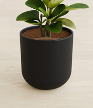 Load image into Gallery viewer, Stone Black stand:all
