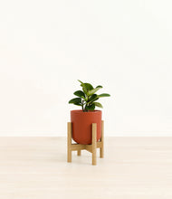 Load image into Gallery viewer, Earth Red stand:bamboo
