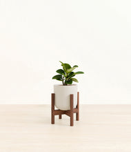 Load image into Gallery viewer, Natural Bamboo stand:walnut
