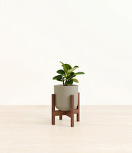 Load image into Gallery viewer, Sage Green stand:walnut
