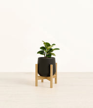 Load image into Gallery viewer, Black stand:bamboo
