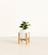 Load image into Gallery viewer, White stand:bamboo
