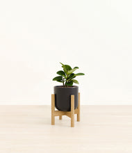 Load image into Gallery viewer, Stone Black stand:bamboo
