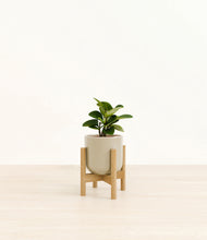Load image into Gallery viewer, Sage Green stand:bamboo
