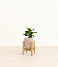 Load image into Gallery viewer, Sandy Pink stand:bamboo
