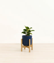 Load image into Gallery viewer, Twilight Blue stand:bamboo
