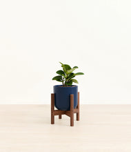 Load image into Gallery viewer, Twilight Blue stand:walnut
