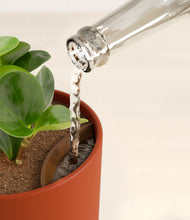 Load image into Gallery viewer, Earth Red stand:all
