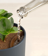 Load image into Gallery viewer, Iron Gray stand:all
