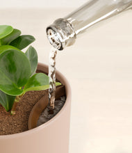 Load image into Gallery viewer, Sandy Pink stand:all
