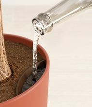 Load image into Gallery viewer, Earth Red stand:all
