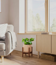 Load image into Gallery viewer, Gentle Pink stand:walnut
