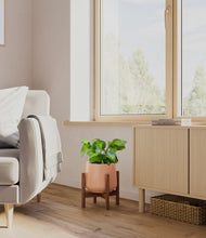 Load image into Gallery viewer, Calm Rose stand:walnut
