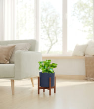 Load image into Gallery viewer, Deep Navy stand:walnut
