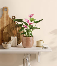 Load image into Gallery viewer, Hammered Peach Pink
