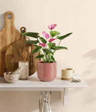 Load image into Gallery viewer, Hammered Rose Pink
