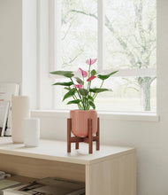 Load image into Gallery viewer, Striped Rose Pink stand:walnut
