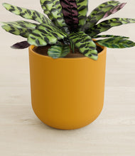 Load image into Gallery viewer, Sunset Orange stand:all
