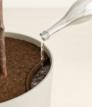 Load image into Gallery viewer, Natural Bamboo
