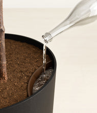 Load image into Gallery viewer, Stone Black
